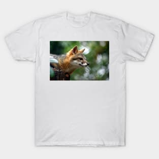 contemplate T-Shirt